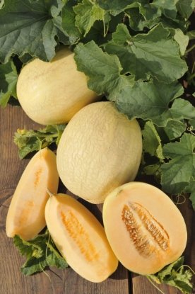 Picture of Melon Emir F1